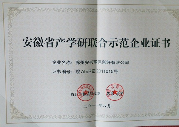 industry-academia-research joint demonstration certificate of Anhui province