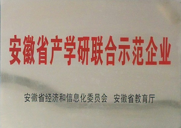 安徽省产学研联合示范企业