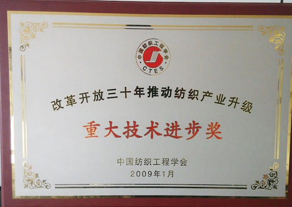 重大技术进步奖